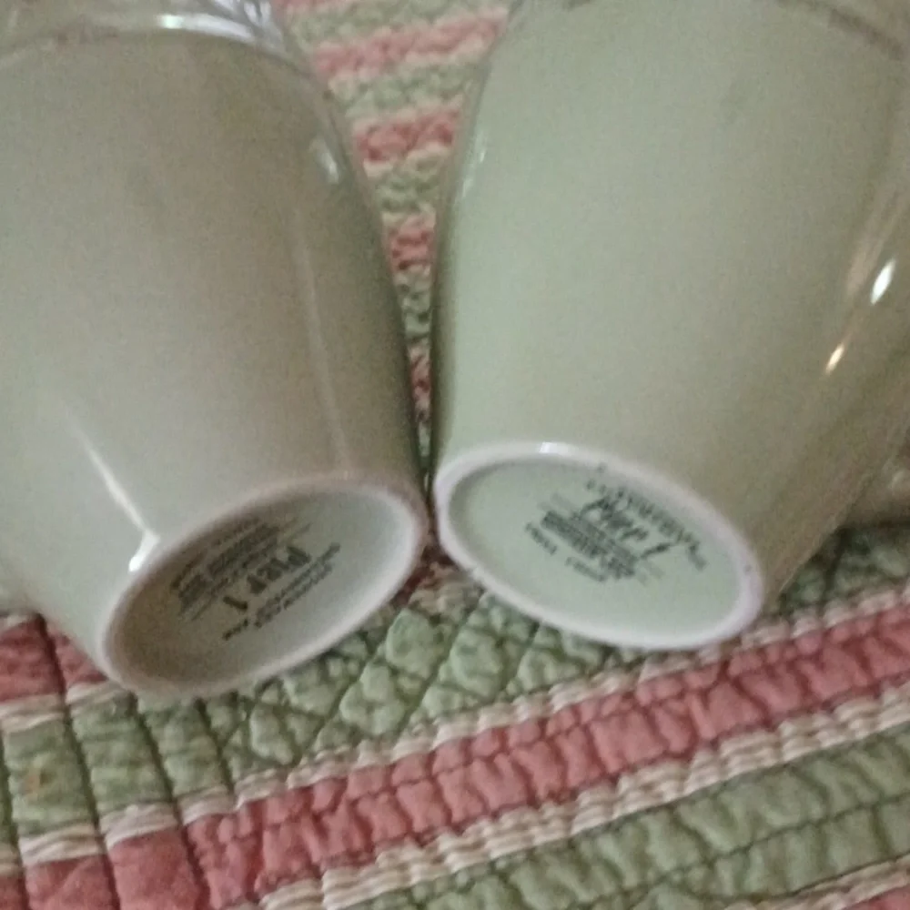 Pier 1 Imports ANTIQUE FLORAL Green Mugs Set of 6